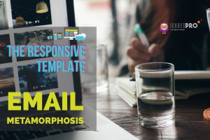Responsive templates Email Marketing
